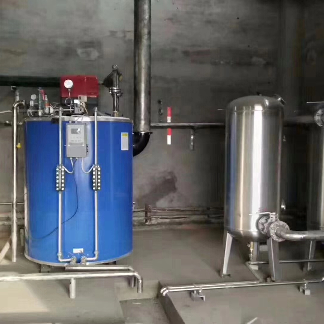 黑龍江哈爾濱沼氣蒸汽發生器